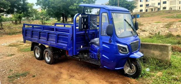 New 9-Wheel Cargo Tricycle - Blue - 1