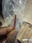 Hyundai Elantra / Kia Engine Oil Dipstick - 2