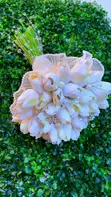 Bridal Bouquet by Lordy's Wedding House - 3
