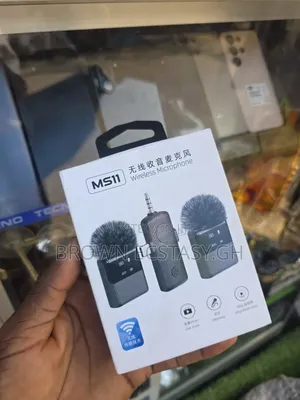 3-in-1 Mini Microphone with Display
