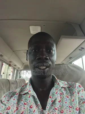 Professional Driver - Ebenezer Mensah