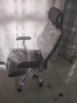 Ergonomic Swivel Chair with Lumbar Support - 1