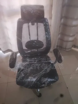 Ergonomic Swivel Chair with Lumbar Support