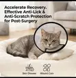 Elizabethan Collar/Cone for Pets - 3