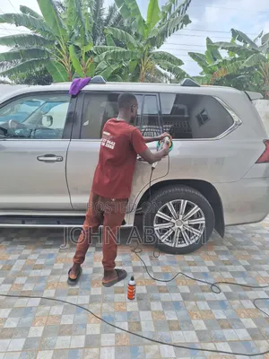 Car Waxing and Scratch Removal Service