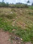 Roadside Land for Sale in Akutuako, Greater Accra - 4