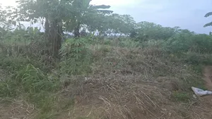 110x100 Land for Sale at Tanoso Dominase