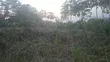 110x100 Land for Sale at Tanoso Dominase - 2