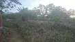 110x100 Land for Sale at Tanoso Dominase - 3