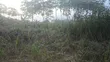 110x100 Land for Sale at Tanoso Dominase - 4