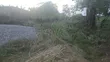 110x100 Land for Sale at Tanoso Dominase - 5