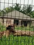 4-Bedroom Bungalow for Sale in Main Station - 2