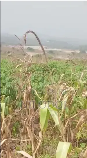 Plots for Sale at Kasoa Ahentia