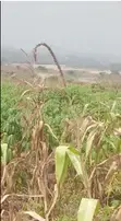 Plots for Sale at Kasoa Ahentia - 1