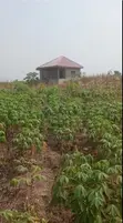 Plots for Sale at Kasoa Ahentia - 5