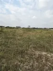 2 Plots for Sale in Appolonia City - 2