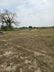 2 Plots for Sale in Appolonia City - 3