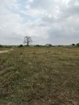 2 Plots for Sale in Appolonia City - 4