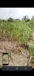 Land for Sale in Ejisu Abira - 2
