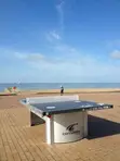 Cornilleau 510M Outdoor Table Tennis Table - 3