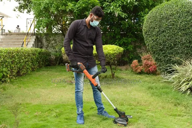 Cordless Bush Cutter with 2 Batteries - 1