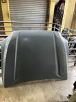 Toyota Tacoma Bonnet - Brand New - 1