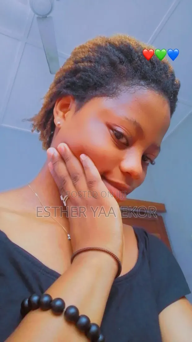 SHS Graduate Seeking Part-Time Online Chat Support Job - 1