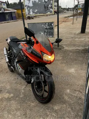 Kawasaki Ninja 250CC 2010