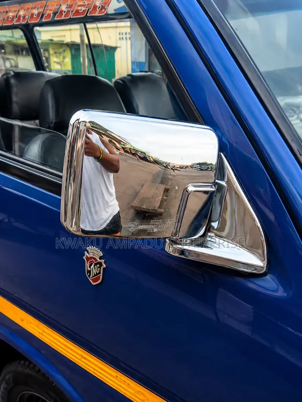 Chrome Side Mirror - Cecilia Mirror - 1