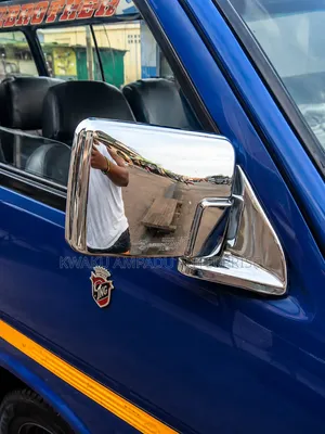 Chrome Side Mirror - Cecilia Mirror