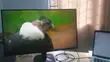 AOC 27" 4K UHD Gaming Monitor - 4