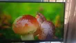 AOC 27" 4K UHD Gaming Monitor - 5