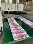 Full Automatic Biodegradable T-Shirt Bag Making Machine - 4