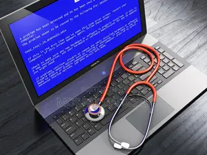 PC & Laptop Software Repair (IT Consultant)