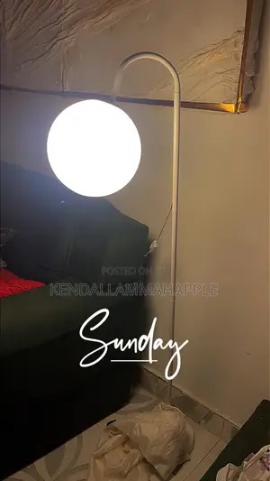 Brand New Floor Lamp with Two Shades