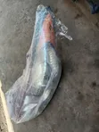 Hyundai Elantra GT Headlight (Left) - 2