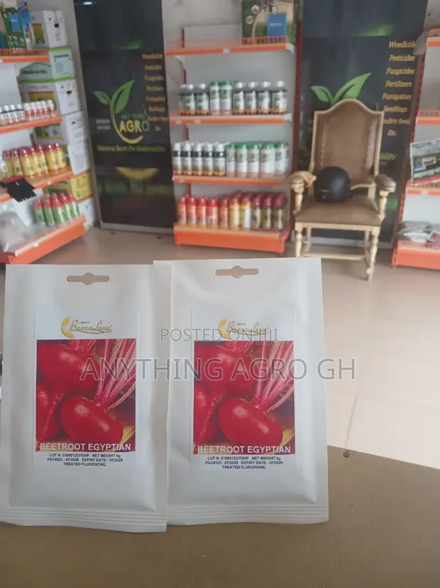 Beetroot Egyptian Seeds - 5g - 1