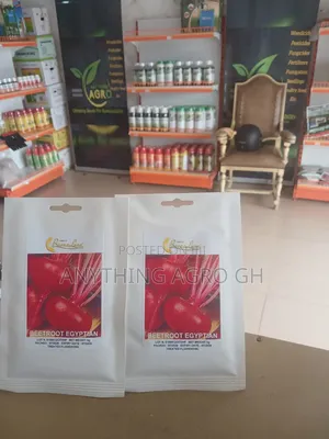 Beetroot Egyptian Seeds - 5g