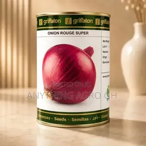 Onion Rouge Super Seeds (100g)
