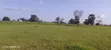 Land with Documents for Sale in Bolgatanga - 3