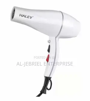 Haley Portable Hair Dryer (White)