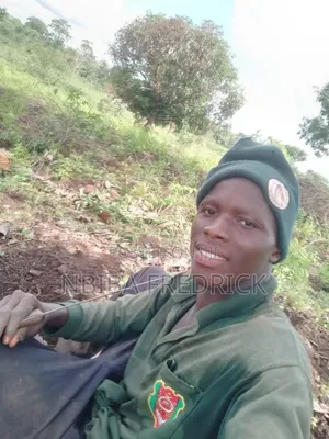 Hardworking Farm Worker Available