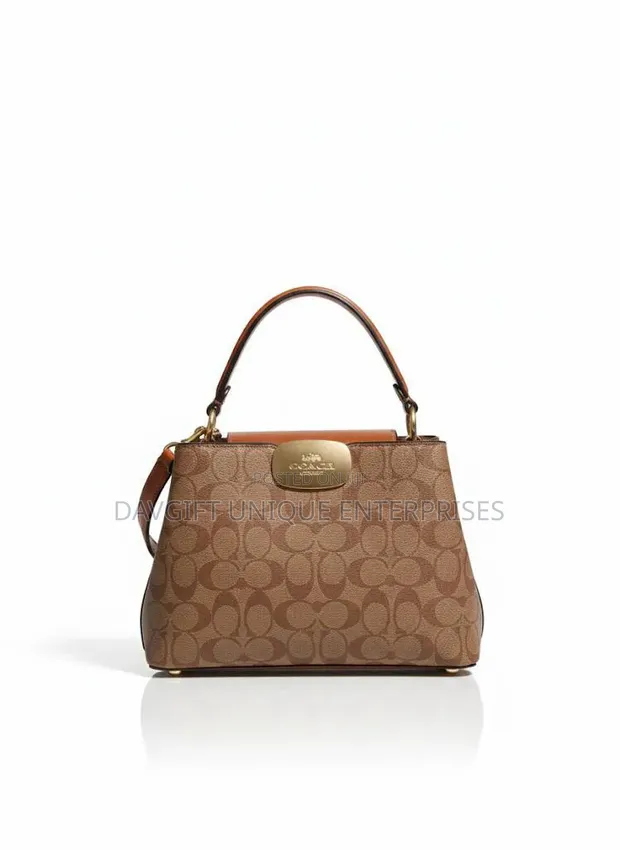 Unique Original Handbags for Ladies - 1