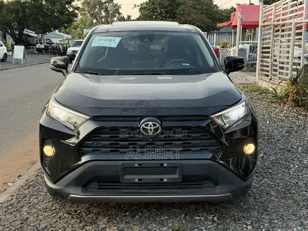 Toyota RAV4 XLE Premium AWD 2023 Black - 1