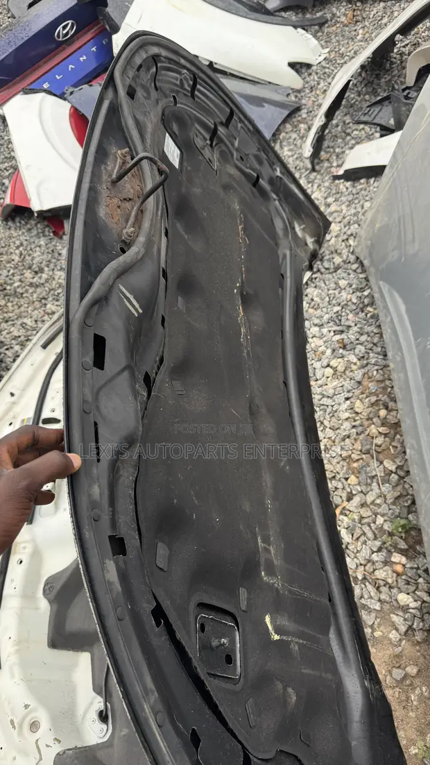 Ford Edge Hood/Bonnet - Used - 1