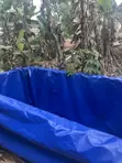 Tarp Fish Pond Liner - 2