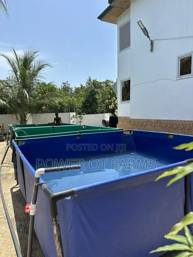 Tarpaulin Fish Pond - 1