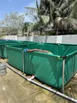 Tarpaulin Fish Pond - 3