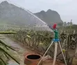 PY40 Irrigation Rain Gun Sprinkler - 4