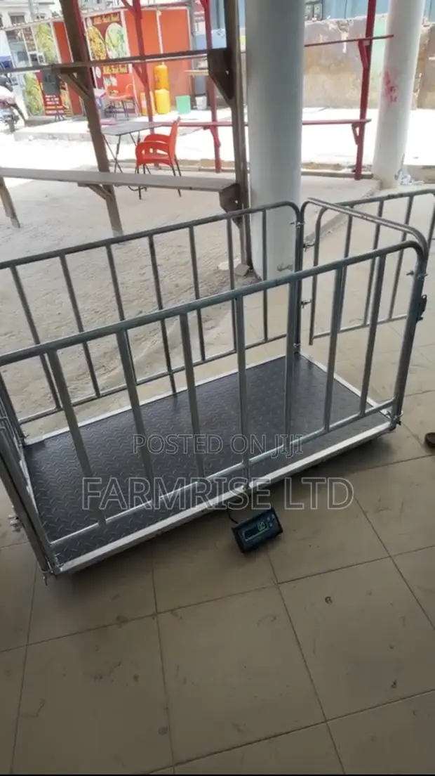 300kg Digital Platform Scale - 1